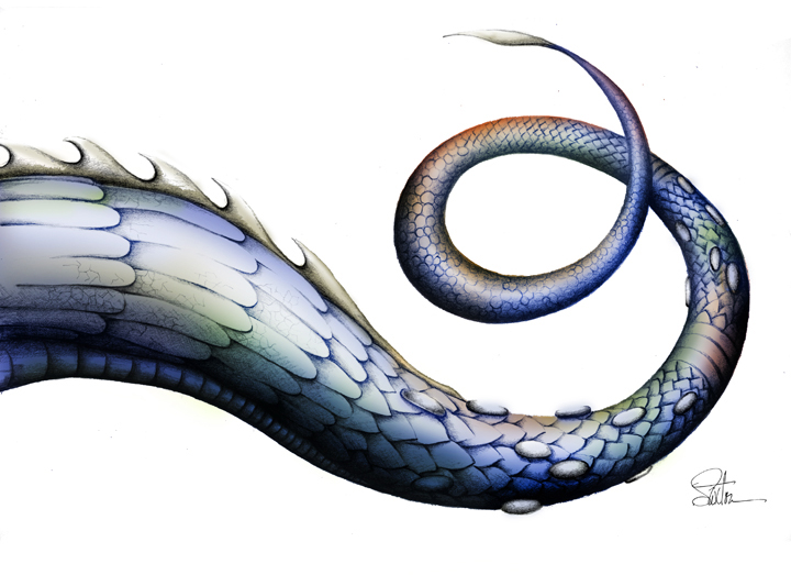 dragon-full-tail2.jpg