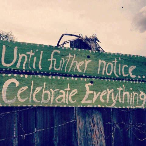 celebrate_everything