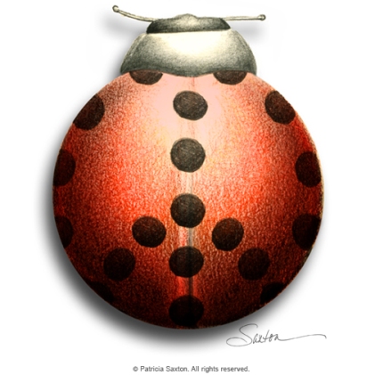 peace_ladybug