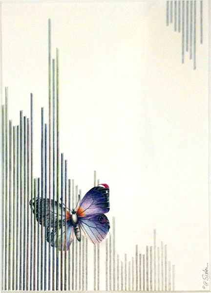saxton_butterfly.caged_sm