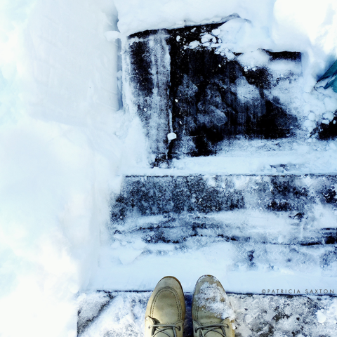 saxton_snowy.steps